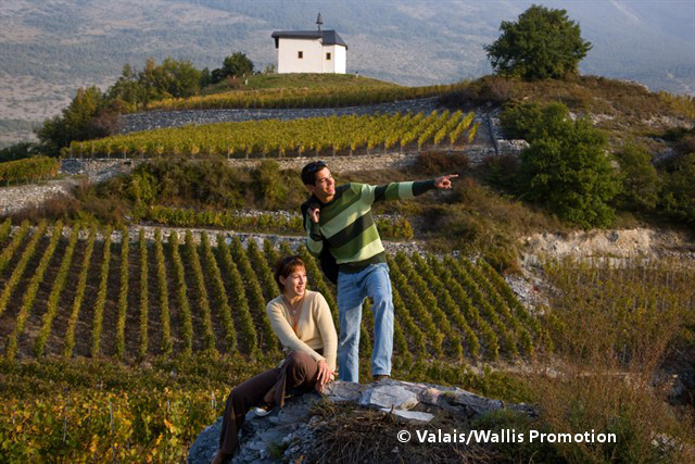Valais Vignes 640X427
